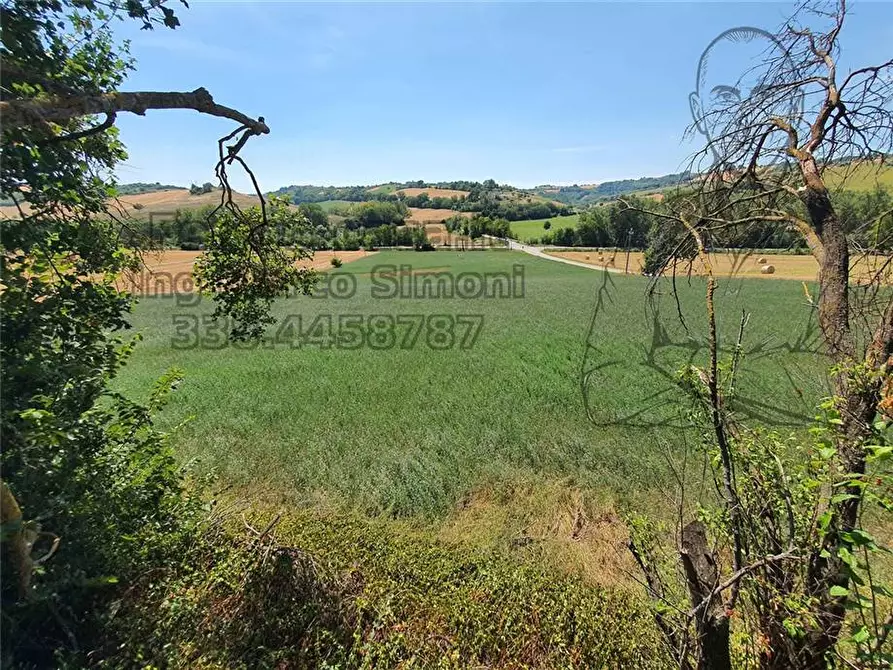 Immagine 29 di Rustico / casale in vendita  in Via Contrada Capparuccia, 3 a Ponzano Di Fermo