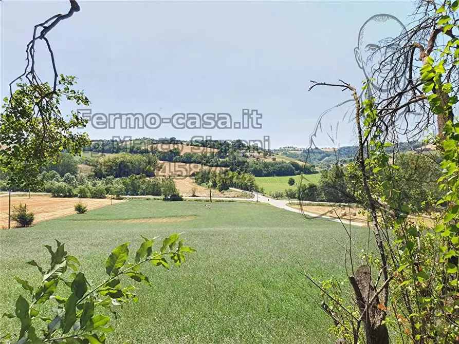 Immagine 30 di Rustico / casale in vendita  in Via Contrada Capparuccia, 3 a Ponzano Di Fermo
