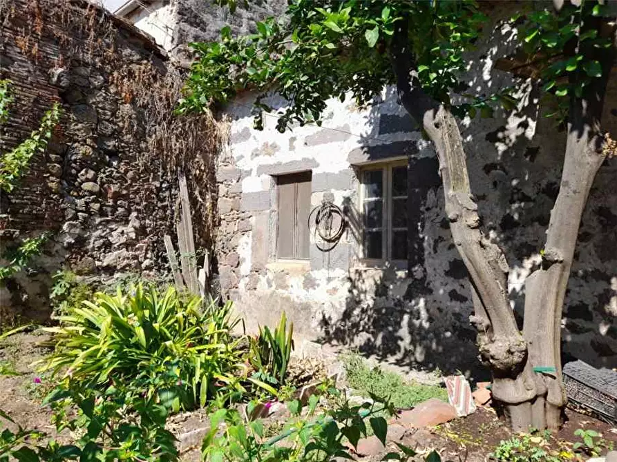 Immagine 9 di Villa in vendita  a Ghilarza