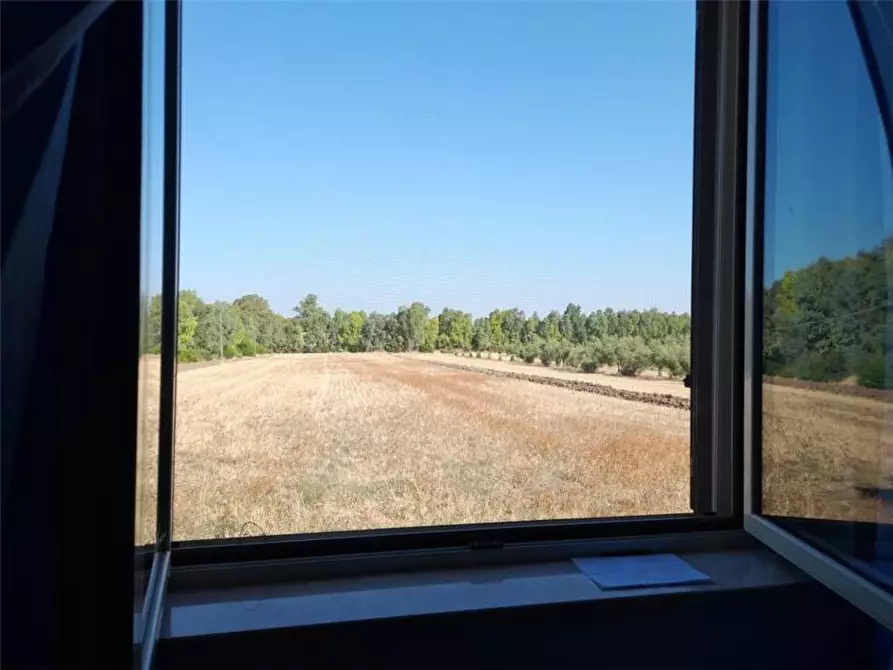 Immagine 9 di Villa in vendita  a Palmas Arborea