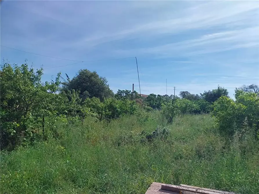 Immagine 9 di Rustico / casale in vendita  a Oristano