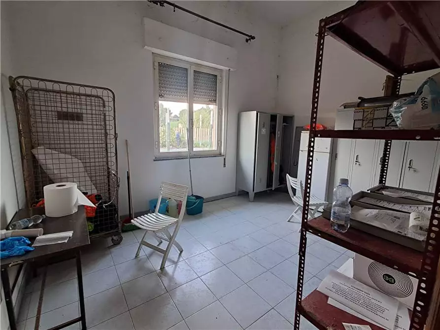Immagine 6 di Attività commerciale in vendita  a Solarussa