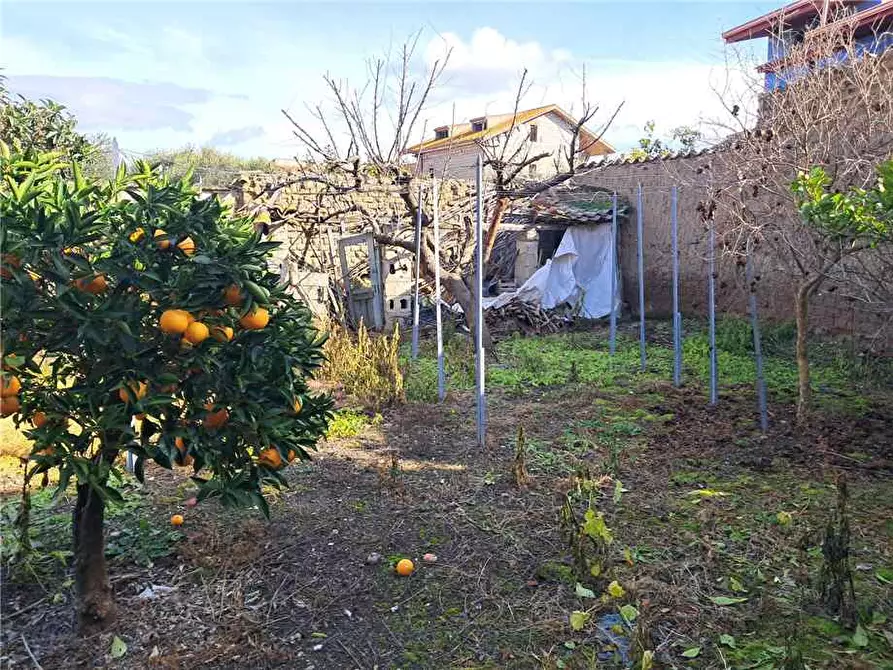 Immagine 9 di Villa in vendita  a Ollastra