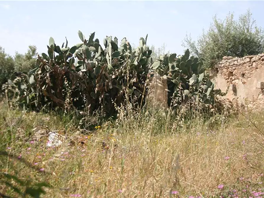 Immagine 6 di Rustico / casale in vendita  in Via CDA VOLPIGLIA, SN a Noto