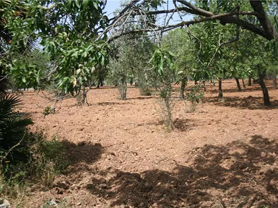 Immagine 8 di Rustico / casale in vendita  in Via CDA VOLPIGLIA, SN a Noto