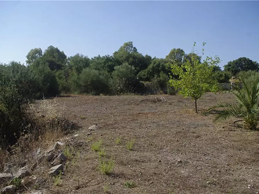 Immagine 18 di Terreno in vendita  in Loc. C/DA SARAMICO a Melilli
