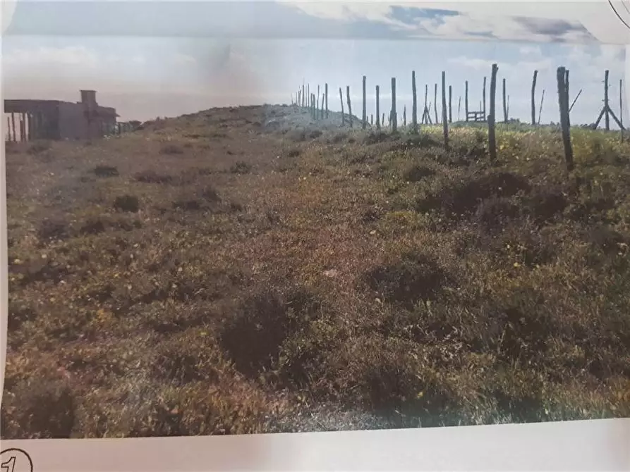 Immagine 9 di Terreno in vendita  in Via C.DA CHIAPPA a Pachino