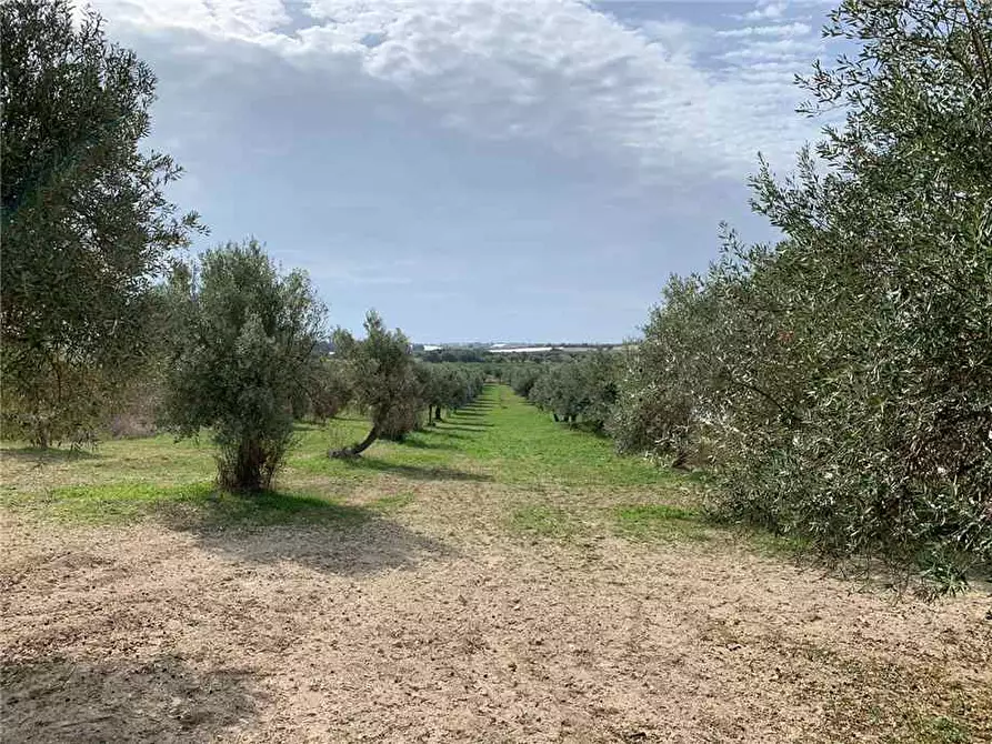 Immagine 9 di Terreno in vendita  in Via CDA BARONI a Noto