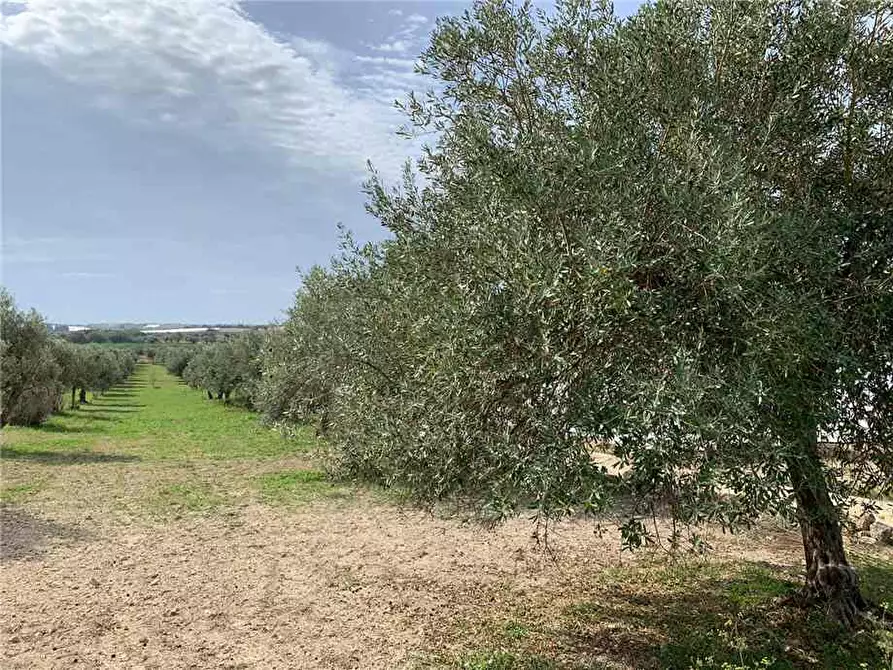 Immagine 10 di Terreno in vendita  in Via CDA BARONI a Noto