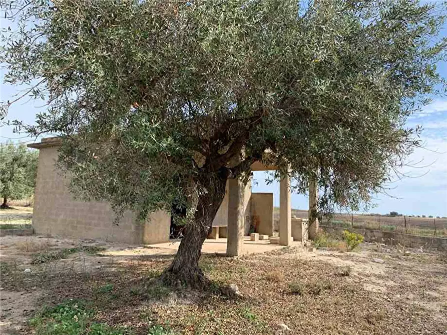 Immagine 11 di Terreno in vendita  in Via CDA BARONI a Noto