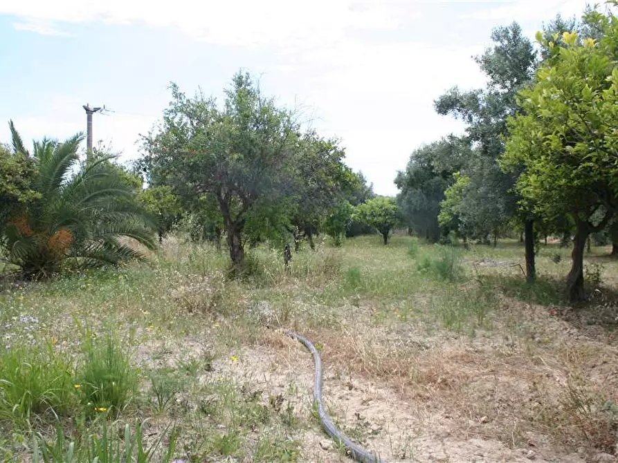 Immagine 11 di Stabile in vendita  in Loc. CONTRADA GIOI, SN a Noto