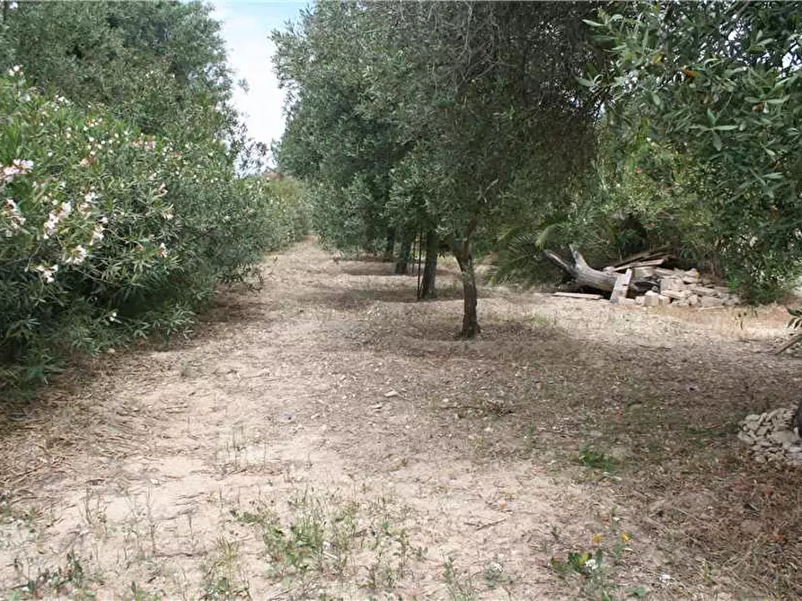 Immagine 12 di Stabile in vendita  in Loc. CONTRADA GIOI, SN a Noto