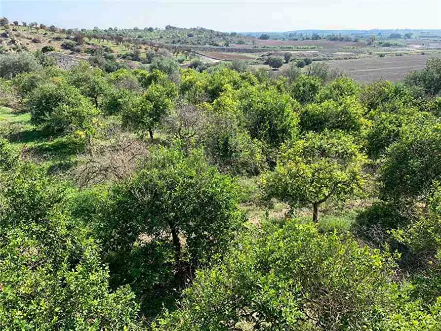 Immagine 11 di Terreno in vendita  in Loc. CDA CAPPELLO a Noto