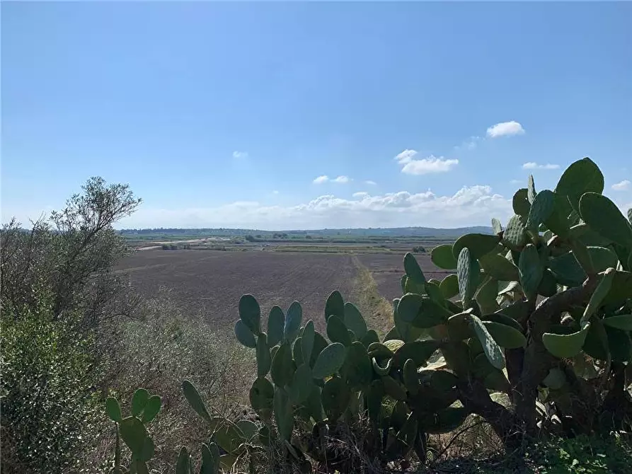 Immagine 12 di Terreno in vendita  in Loc. CDA CAPPELLO a Noto