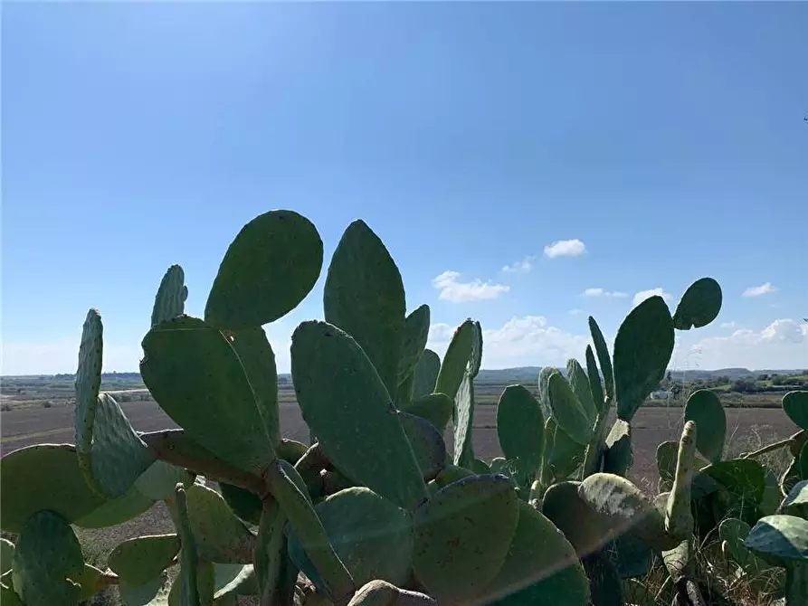 Immagine 14 di Terreno in vendita  in Loc. CDA CAPPELLO a Noto
