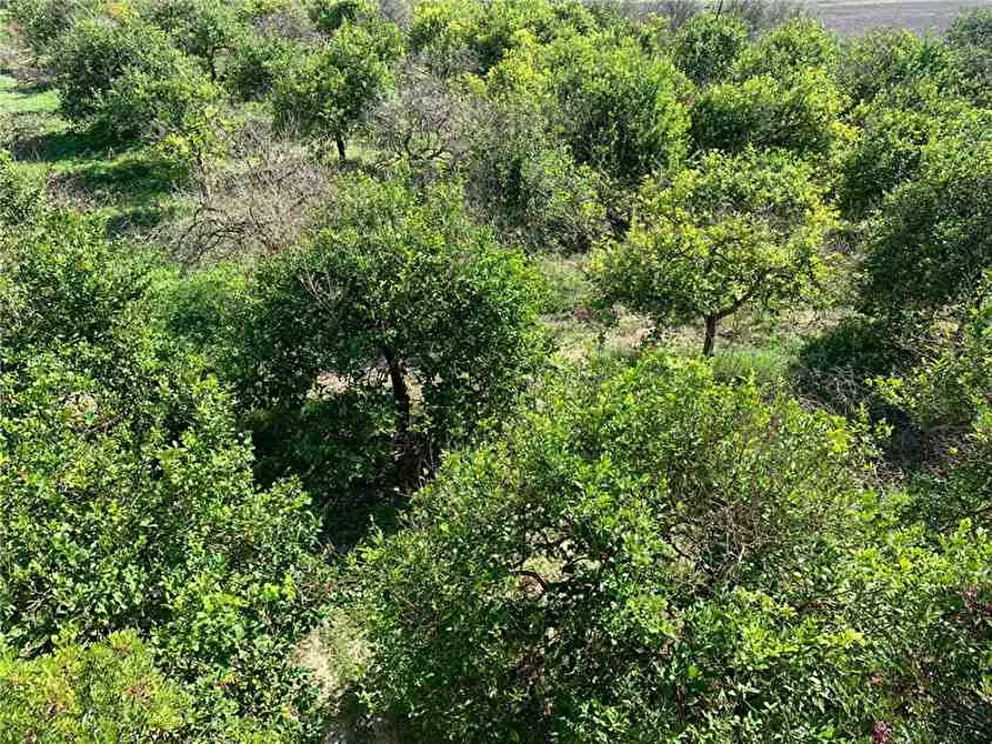 Immagine 15 di Terreno in vendita  in Loc. CDA CAPPELLO a Noto