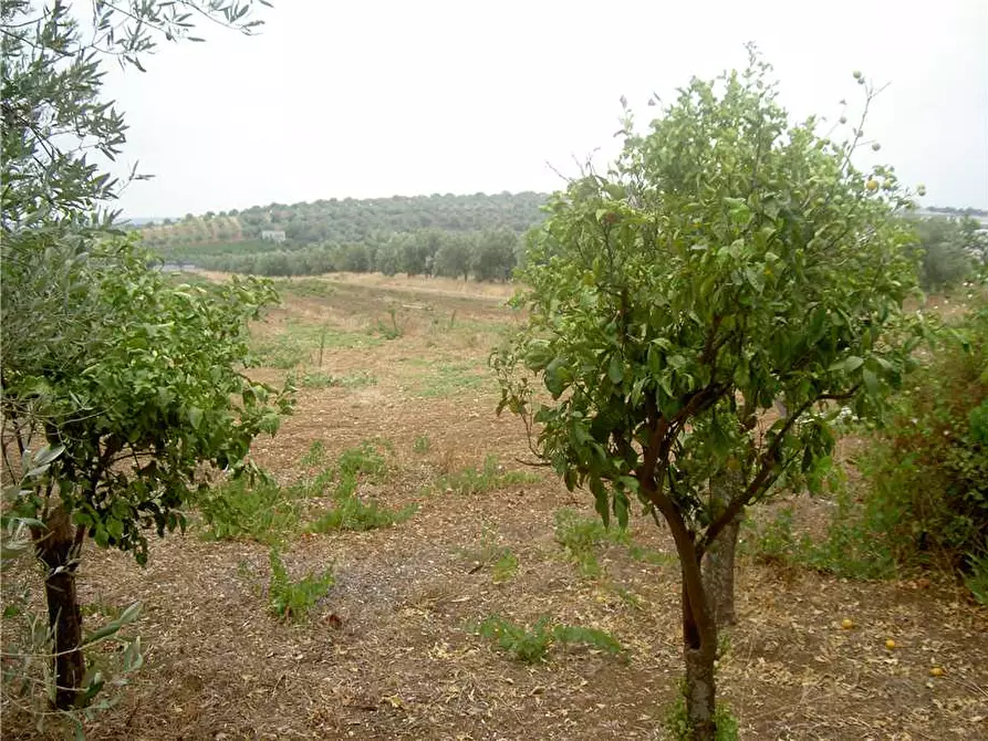 Immagine 16 di Terreno in vendita  in Loc. CDA BENUINI, SN a Noto