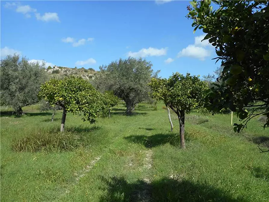 Immagine 12 di Terreno in vendita  in Via CDA PORTELLI, SN a Noto