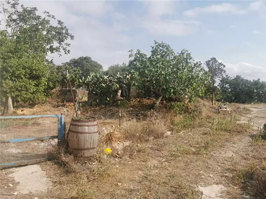 Immagine 16 di Rustico / casale in vendita  in Loc. Contrada Testa dell'Acqua, sn a Noto