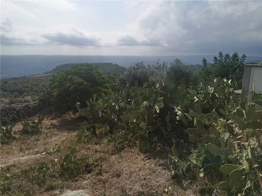 Immagine 17 di Rustico / casale in vendita  in Loc. Contrada Testa dell'Acqua, sn a Noto
