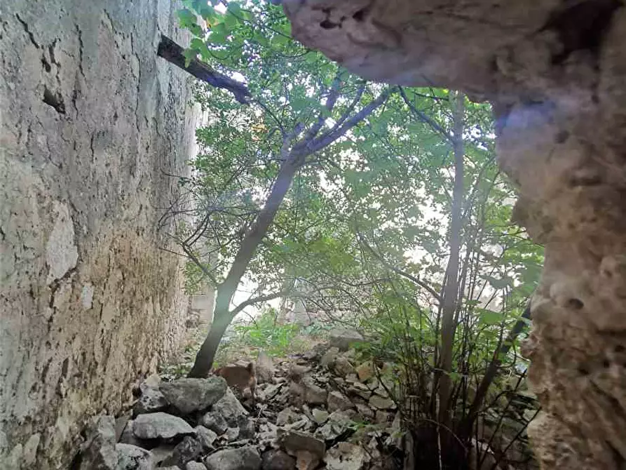 Immagine 9 di Rustico / casale in vendita  in Via CONTRADA STAFENNA a Noto