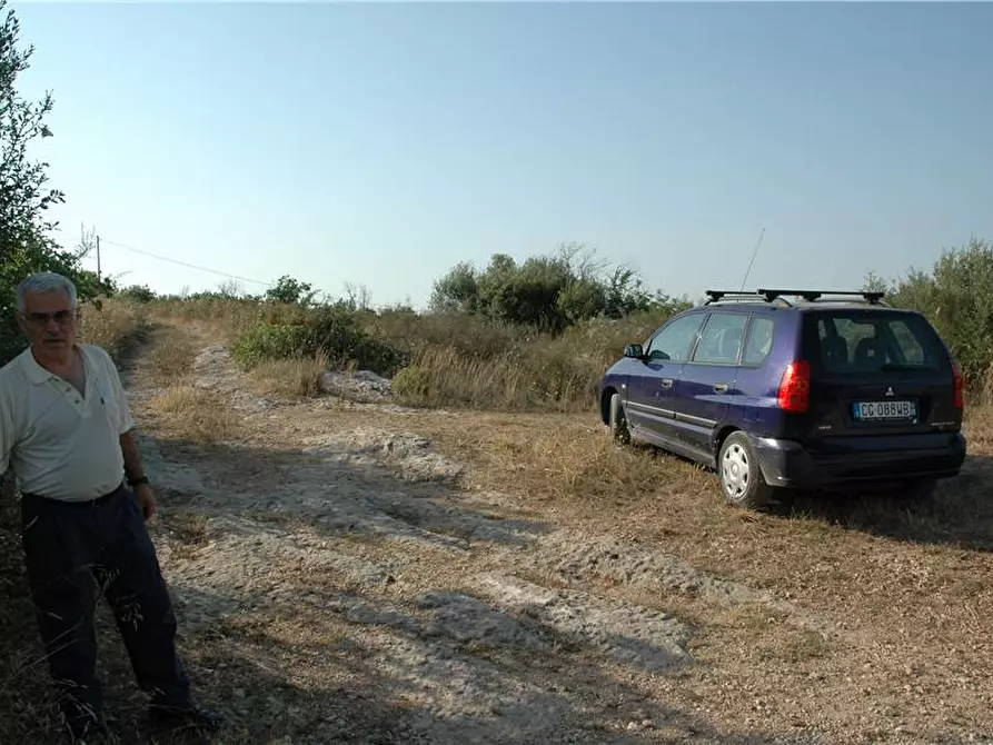 Immagine 13 di Terreno in vendita  in Loc. lenzavacche a Noto