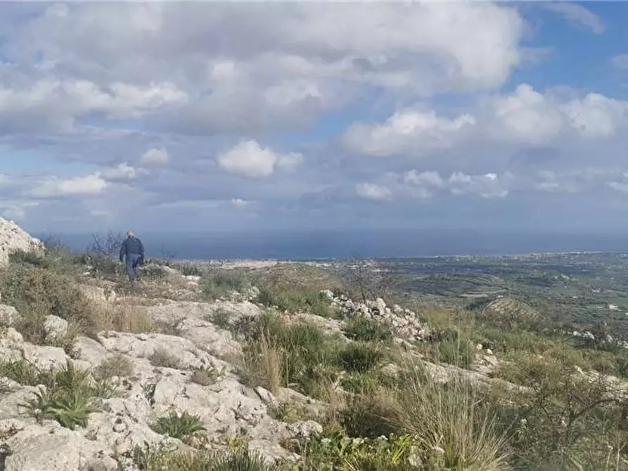 Immagine 19 di Terreno in vendita  in Via SANT ELIA san corrado di a Avola