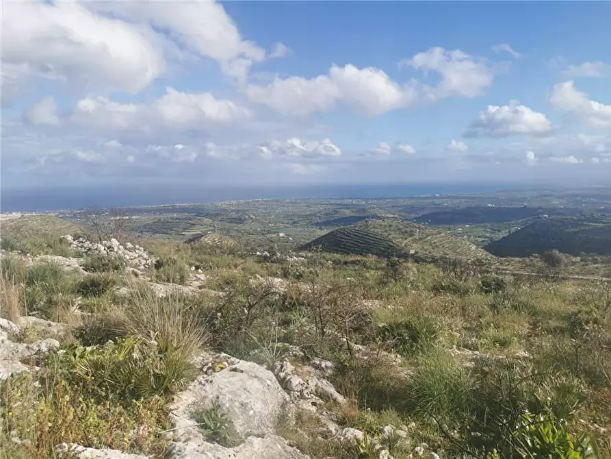 Immagine 20 di Terreno in vendita  in Via SANT ELIA san corrado di a Avola