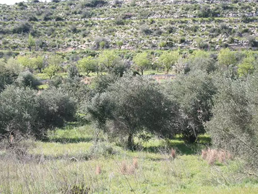 Immagine 16 di Rustico / casale in vendita  in Loc. C/DA Renna, sn a Noto