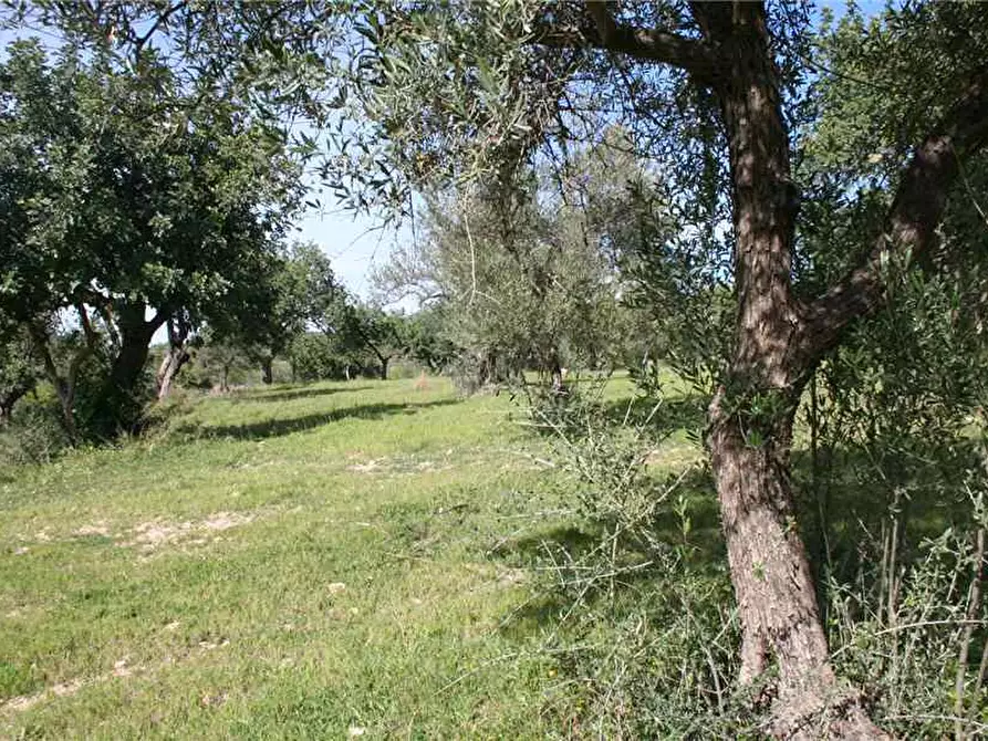 Immagine 17 di Rustico / casale in vendita  in Loc. C/DA Renna, sn a Noto