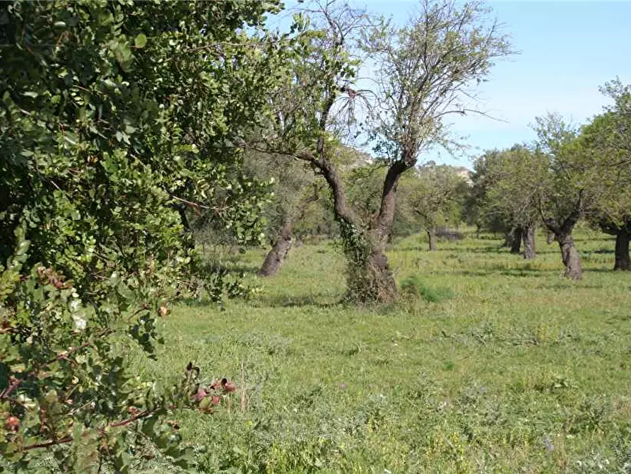 Immagine 18 di Rustico / casale in vendita  in Loc. C/DA Renna, sn a Noto