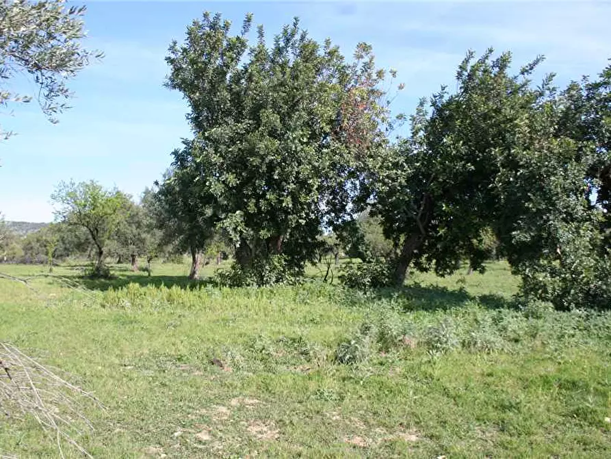 Immagine 19 di Rustico / casale in vendita  in Loc. C/DA Renna, sn a Noto