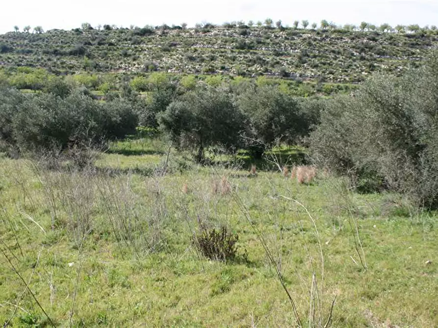 Immagine 20 di Rustico / casale in vendita  in Loc. C/DA Renna, sn a Noto