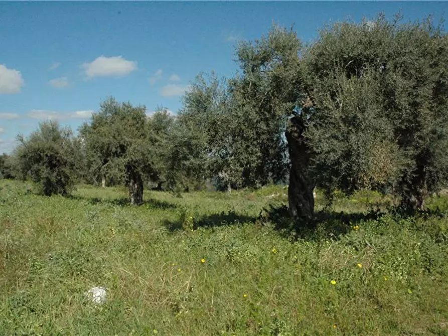 Immagine 18 di Terreno in vendita  in Loc. BOSCO DI SOPRA, 14 a Canicattini Bagni