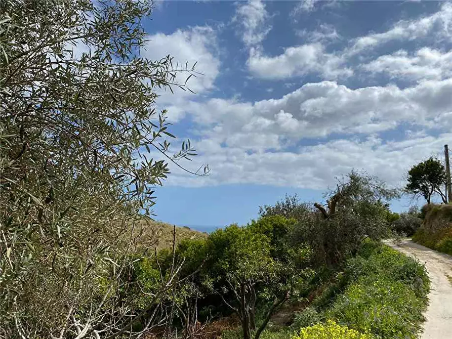 Immagine 8 di Terreno in vendita  in Loc. C/DA FIUMARELLA, SN a Avola