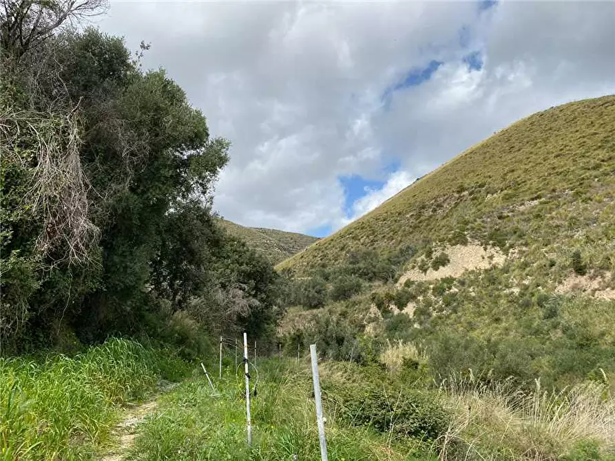 Immagine 11 di Terreno in vendita  in Loc. C/DA FIUMARELLA, SN a Avola