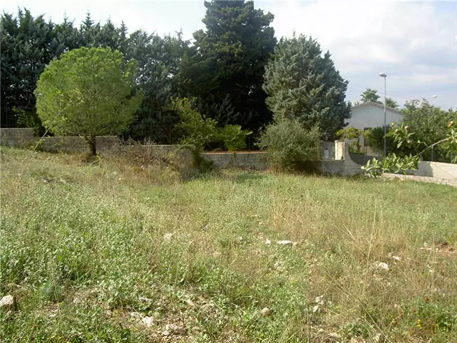 Immagine 12 di Terreno in vendita  in Loc. C/DA TESTA DELL'ACQUA, SN a Noto