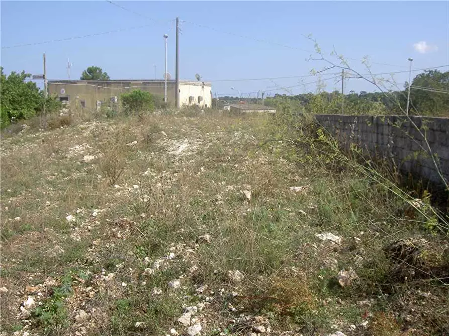 Immagine 16 di Terreno in vendita  in Loc. C/DA TESTA DELL'ACQUA, SN a Noto