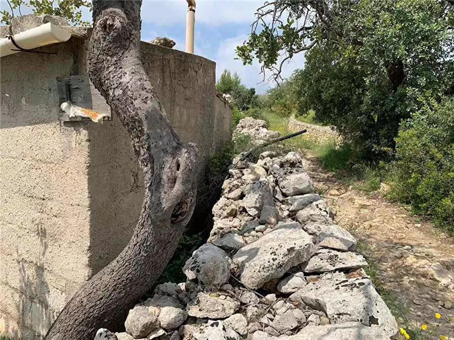 Immagine 8 di Terreno in vendita  in Loc. C/DA VASCELLE, SN a Noto