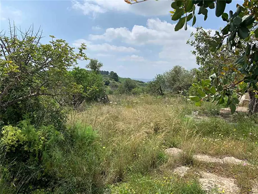 Immagine 10 di Terreno in vendita  in Loc. C/DA VASCELLE, SN a Noto