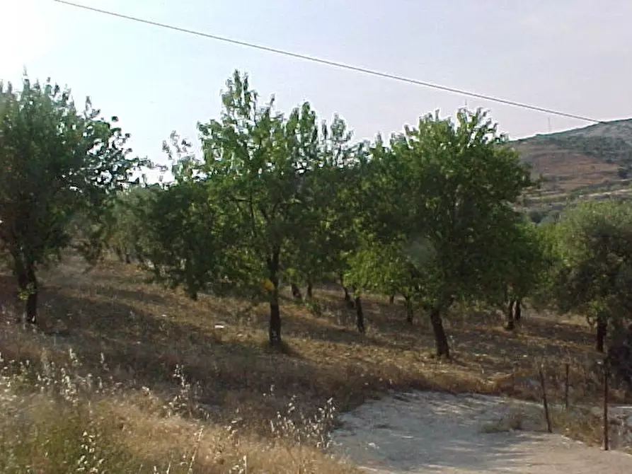 Immagine 7 di Terreno in vendita  in Loc. C/DA METI, SN a Avola