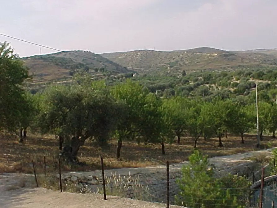 Immagine 8 di Terreno in vendita  in Loc. C/DA METI, SN a Avola