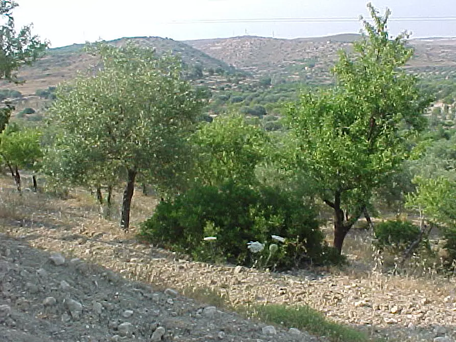 Immagine 9 di Terreno in vendita  in Loc. C/DA METI, SN a Avola