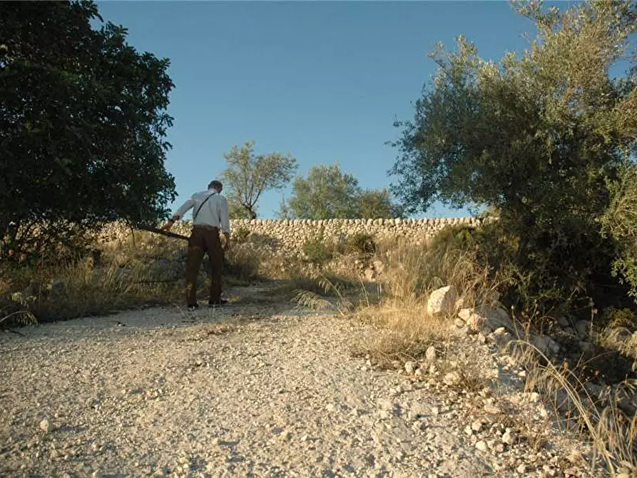 Immagine 20 di Terreno in vendita  in Loc. C/DA GARERI, SN a Pachino