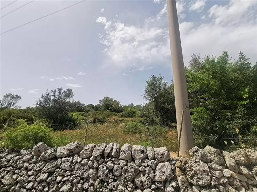 Immagine 6 di Terreno in vendita  in Loc. PIANO MILO, SN a Noto