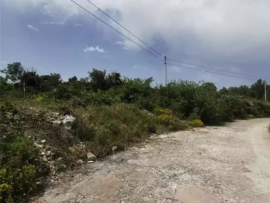 Immagine 7 di Terreno in vendita  in Loc. PIANO MILO, SN a Noto
