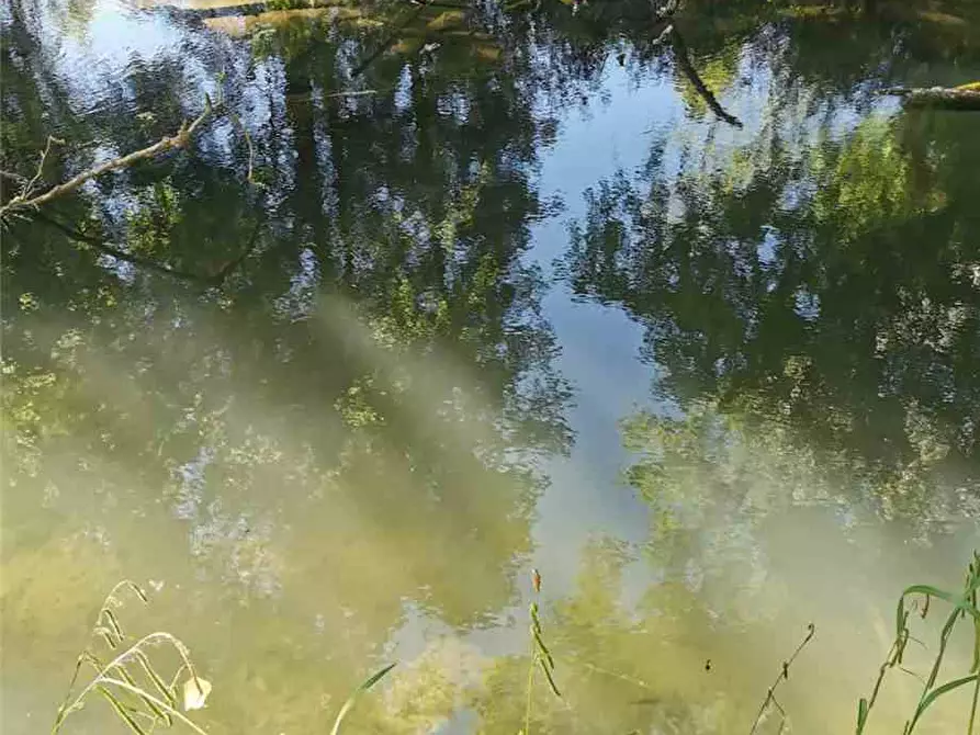 Immagine 19 di Attività commerciale in vendita  in Loc. CDA F. ARCO PIANETTE, SN a Noto