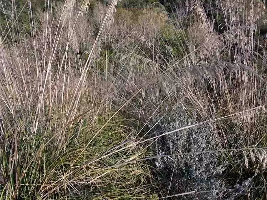 Immagine 18 di Terreno in vendita  in Loc. FIUMARELLA, SN a Avola