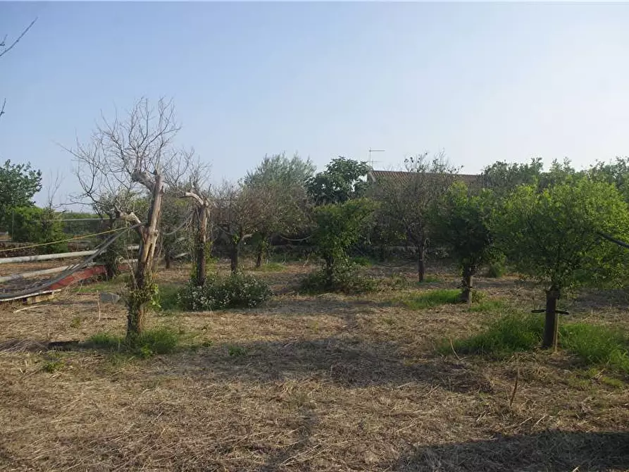 Immagine 19 di Villa in vendita  in Via VIA S. MICHELE ARCANGELO, SN a Noto