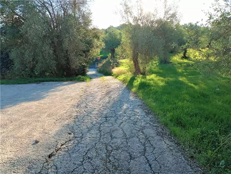 Immagine 16 di Capannone industriale in vendita  in Loc. C/DA PORTELLI, SN a Noto